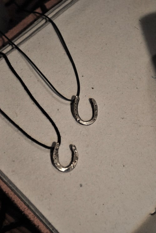 Image of Wild horses