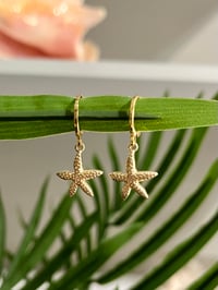Image 2 of Starfish Earrings E125
