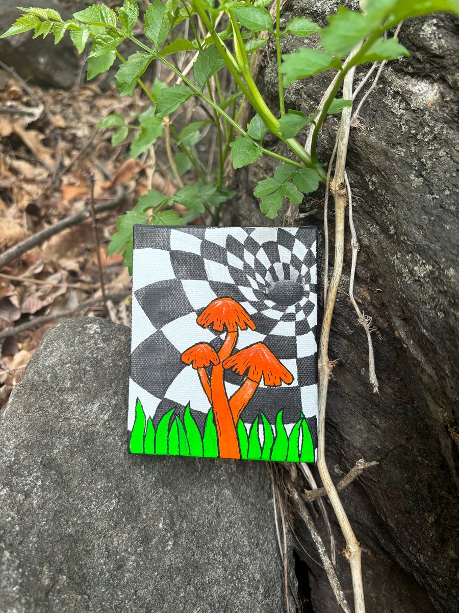 Image of Mini mushroom portal