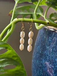 Image 2 of Pearl Drops