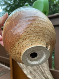 Image 3 of Ghost Echeveria in Aztec Tan Glazed Pot