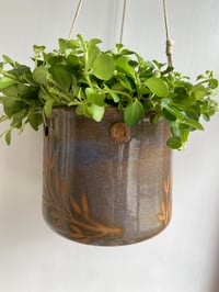 Image 5 of Hanging planter with leaf resist detail