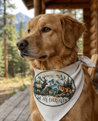"We Are Evergreen" Dog Bandana