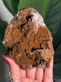 Image 2 of SUGAR DRUZY CHALCEDONY X MANGANESE -MOROCCO- G