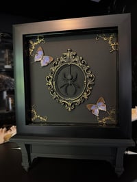 Image 5 of Double butterfly