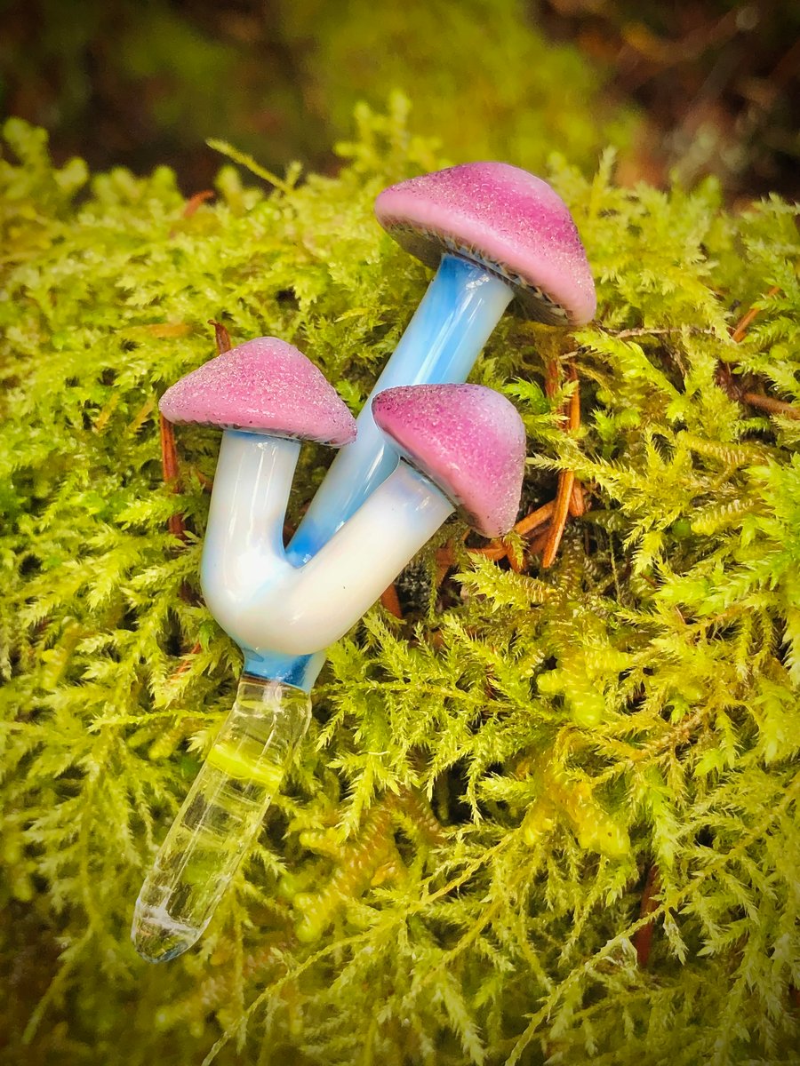 Image of Purple Fuzzy 3 Mushroom Plant Spike