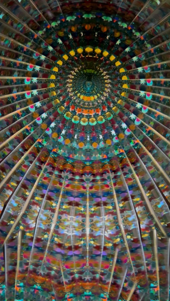 Image of Enchanted Rainforest Mini AuraScope