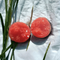 Image 4 of Druzy Stud Earrings