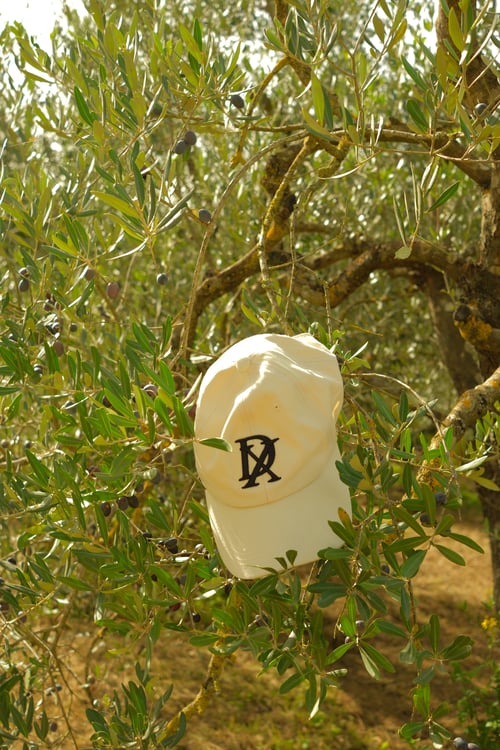 Image of DX Hat