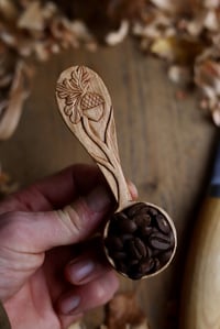 Image 7 of Oak and Acorn  Coffee Scoop 