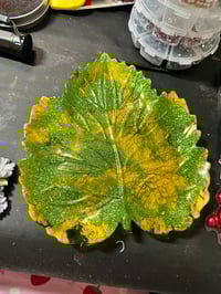 Image 2 of Large Leaves