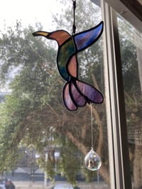 Mini Colibrí