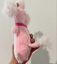 Image 2 of Prima Donna Poodle 