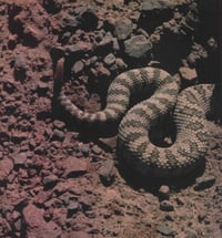 Image 5 of Cosmic Serpent Cuff