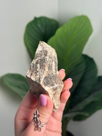 Image 3 of SELF STANDING DENDRITIC FELDSPAR -ITALY- D