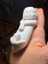 Image 1 of Plaster diprosopus kitten 