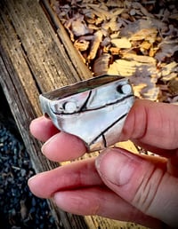 Image 12 of The Reassembled Self