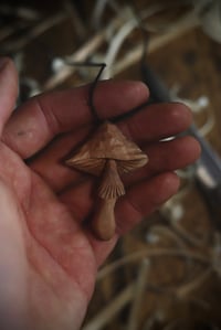 Image 2 of Apple wood Mushroom 