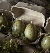 Image 2 of Wild Eggs