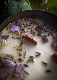 Image 2 of Lucid Lavender