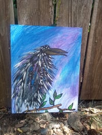Image 10 of Crow
