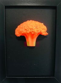 Celestial broccoli 