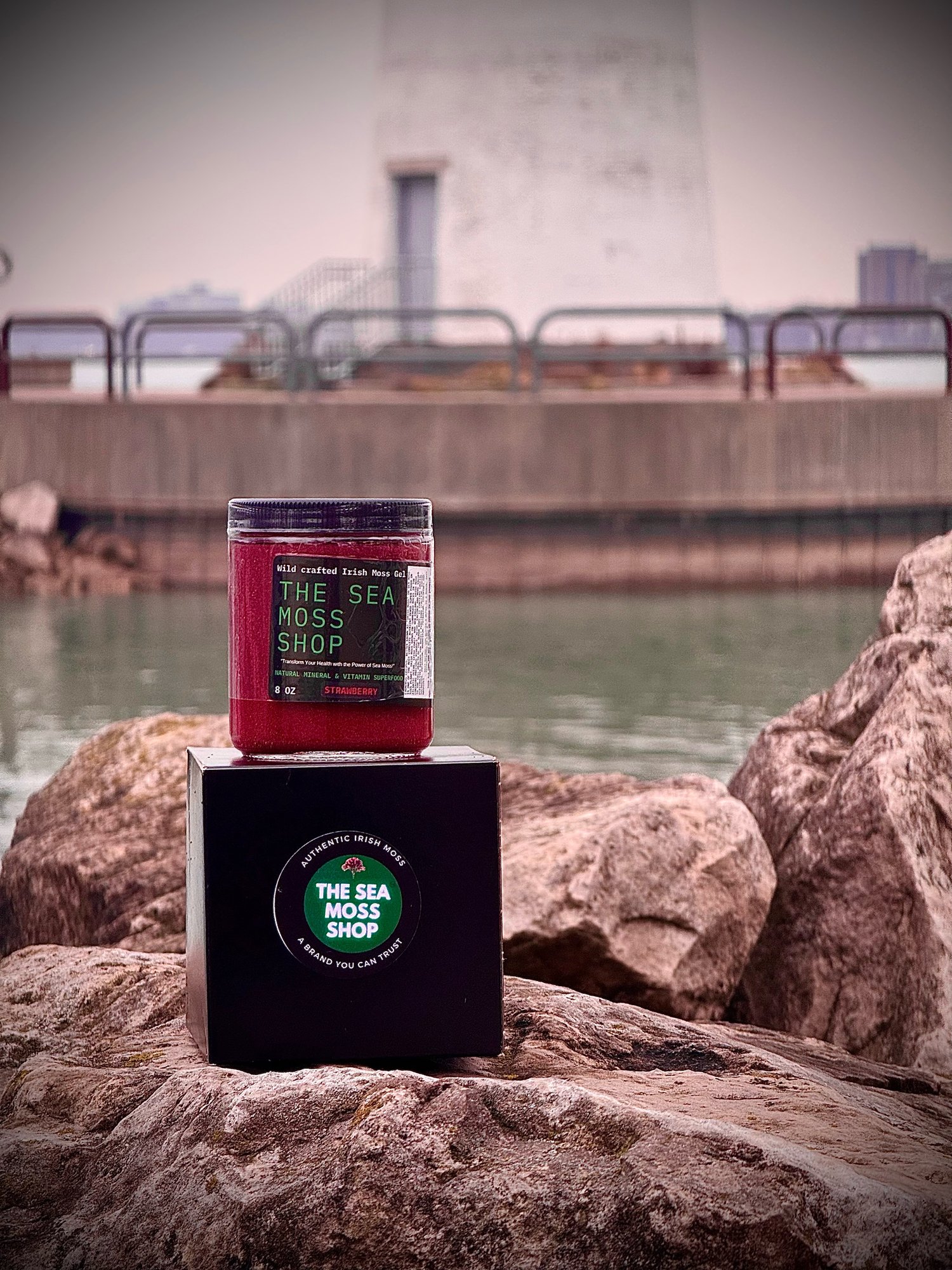 Image of Sea Moss Gel (chondrus crispus)