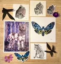 Image 1 of Fall Print Bundles