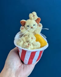 Image 4 of Popcorn kitten pre-order