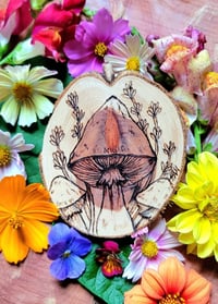Mushroom field 