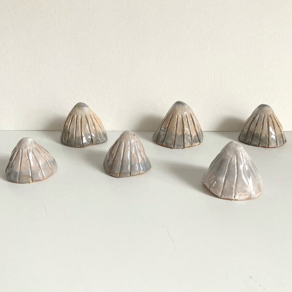 Image of Pottery Limpet shells