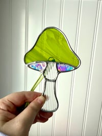 Image 1 of Mushrooms