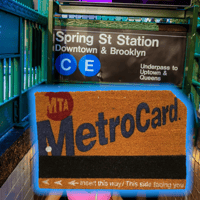 🆕 N.Y.C 🗽MeTRo 🚈 CaRDⓂ️ DOorMaT🚪💳 