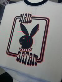 Image 2 of Hail double image