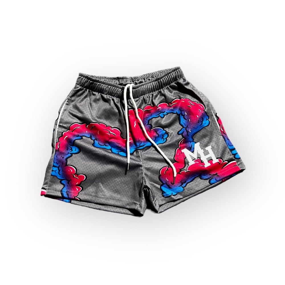 Image of Womens Grey/Multi Smoke Shorts