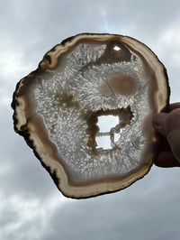 Image 8 of Large Agate Slice With Druzy Crystal Pockets #2249