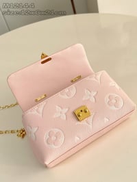Image 4 of LV Nano Madeleines Bag