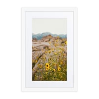 Image 3 of Yellow Mountain Wildflowers