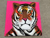 Lion 16x16 canvas