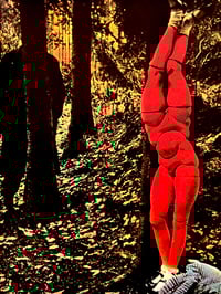 Image 4 of Hans Bellmer Japanese book