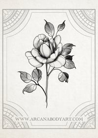 Image 2 of Roses