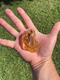 Image 10 of Amber Specimen #1944