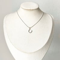 Image 2 of HORSESHOE