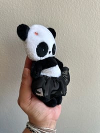 Image 4 of Penny Panda 