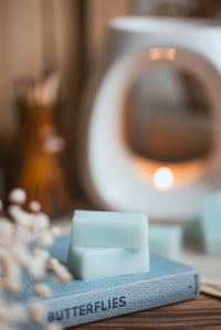 Image 1 of Hotel of Dreams ®