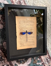 Image 5 of Sapphire Relic