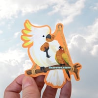 Cockatoo & conure | vinyl sticker