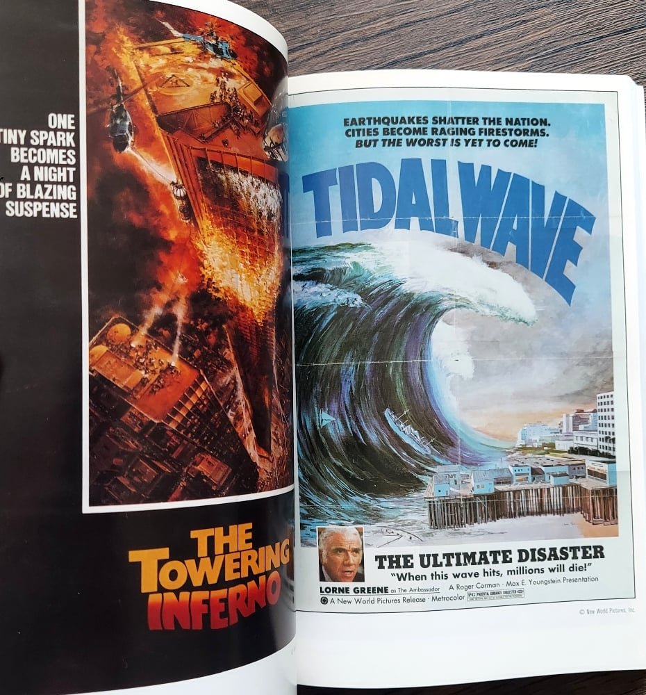 Disaster Movies, by Glenn Kay and Michael Rose
