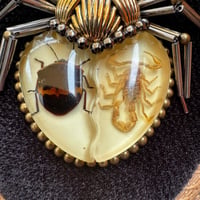 Image 3 of Specimen spider (e,  4x5 inches)