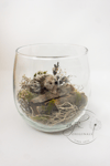 animal terrarium